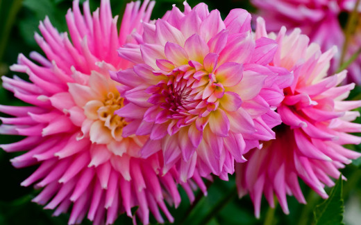 1238297 (a): :2880x1800